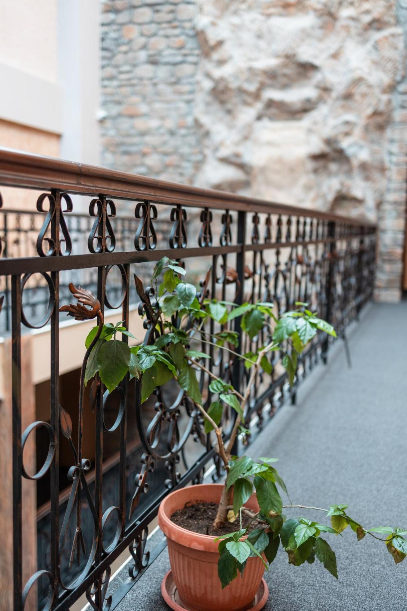 Hotel Neptun Видин Экстерьер фото